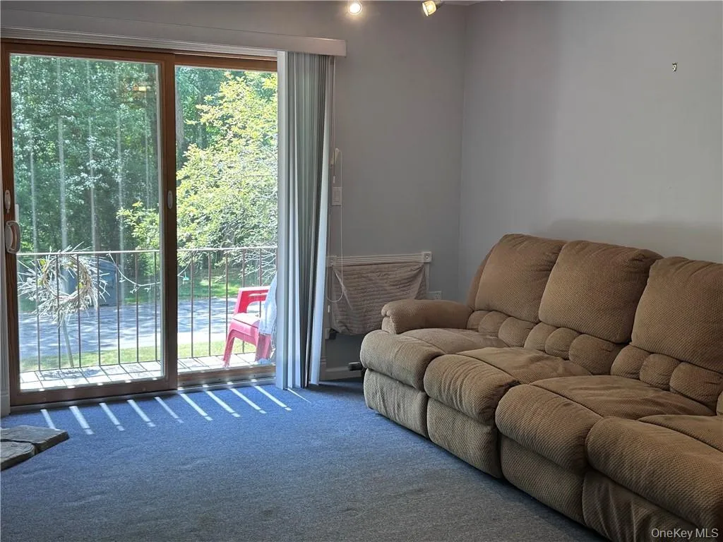 Living room featuring carpet floors Living room featuring carpet floors
