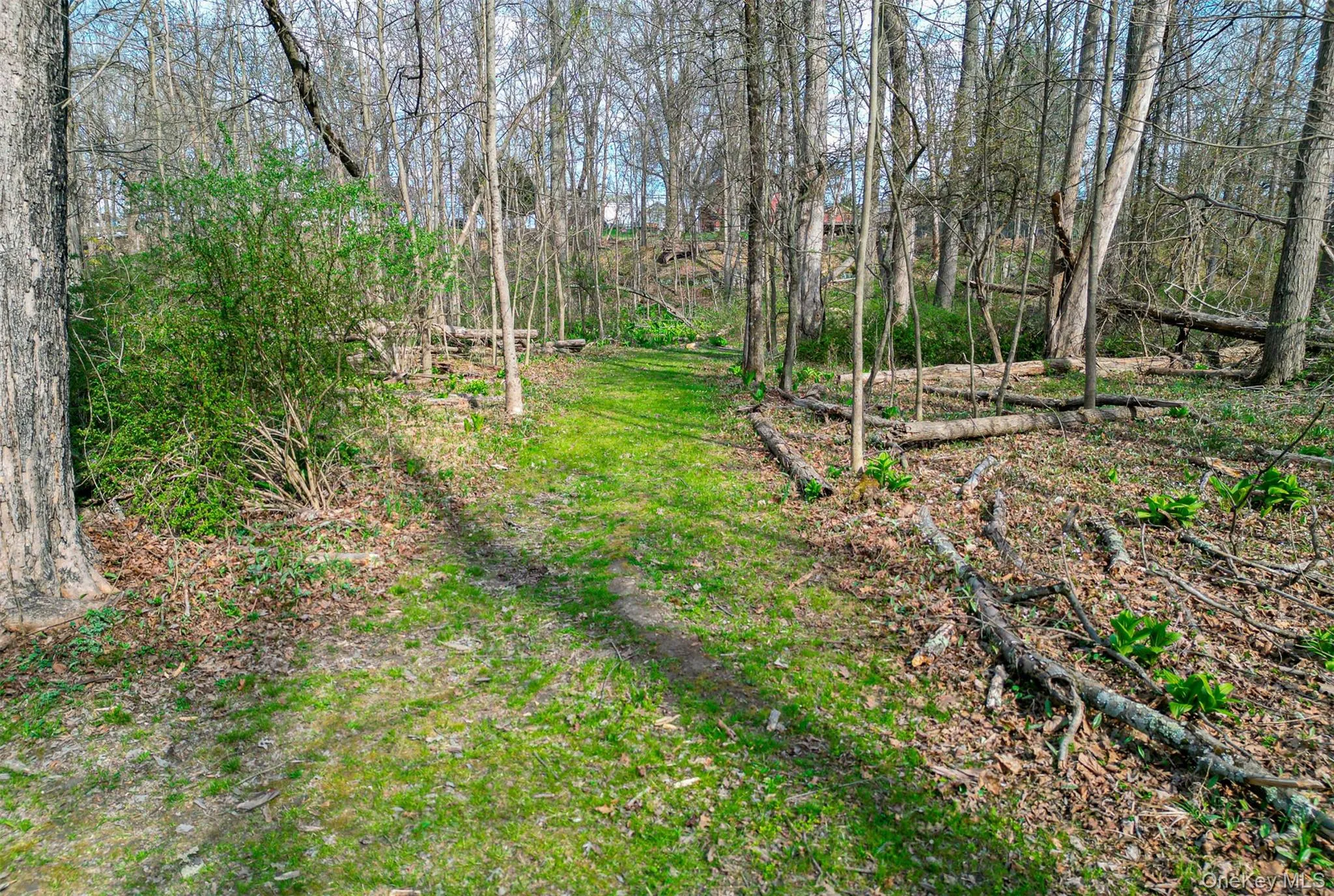 1543 Route 208, Blooming Grove, NY, 3 Bedrooms Bedrooms, 9 Rooms Rooms,2 BathroomsBathrooms,Residential,For Rent,Route 208,0,H6319820 1543 Route 208, Blooming Grove, NY, 3 Bedrooms Bedrooms, 9 Rooms Rooms,2 BathroomsBathrooms,Residential,For Rent,Route 208,0,H6319820