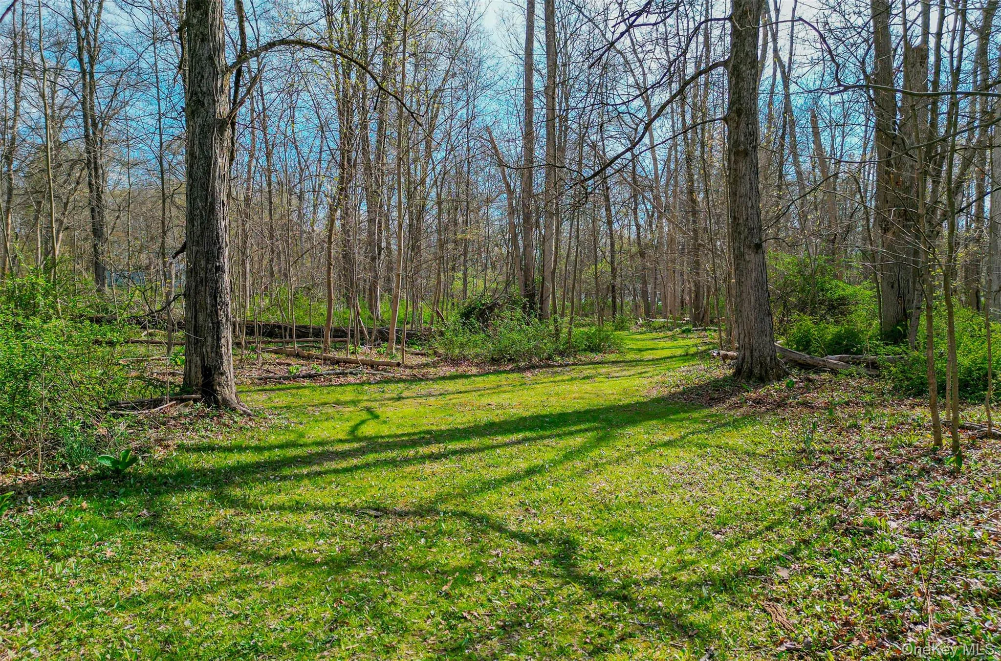 1543 Route 208, Blooming Grove, NY, 3 Bedrooms Bedrooms, 9 Rooms Rooms,2 BathroomsBathrooms,Residential,For Rent,Route 208,0,H6319820 1543 Route 208, Blooming Grove, NY, 3 Bedrooms Bedrooms, 9 Rooms Rooms,2 BathroomsBathrooms,Residential,For Rent,Route 208,0,H6319820