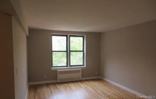 Empty room featuring a wealth of natural light, radiator heating unit, and light hardwood / wood-style floors Empty room featuring a wealth of natural light, radiator heating unit, and light hardwood / wood-style floors