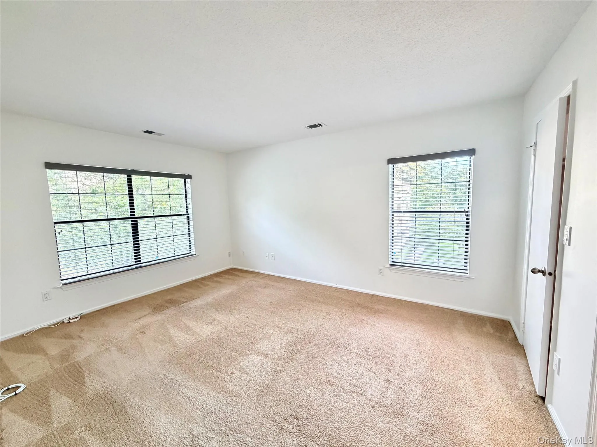 Large Primary Bedroom Large Primary Bedroom