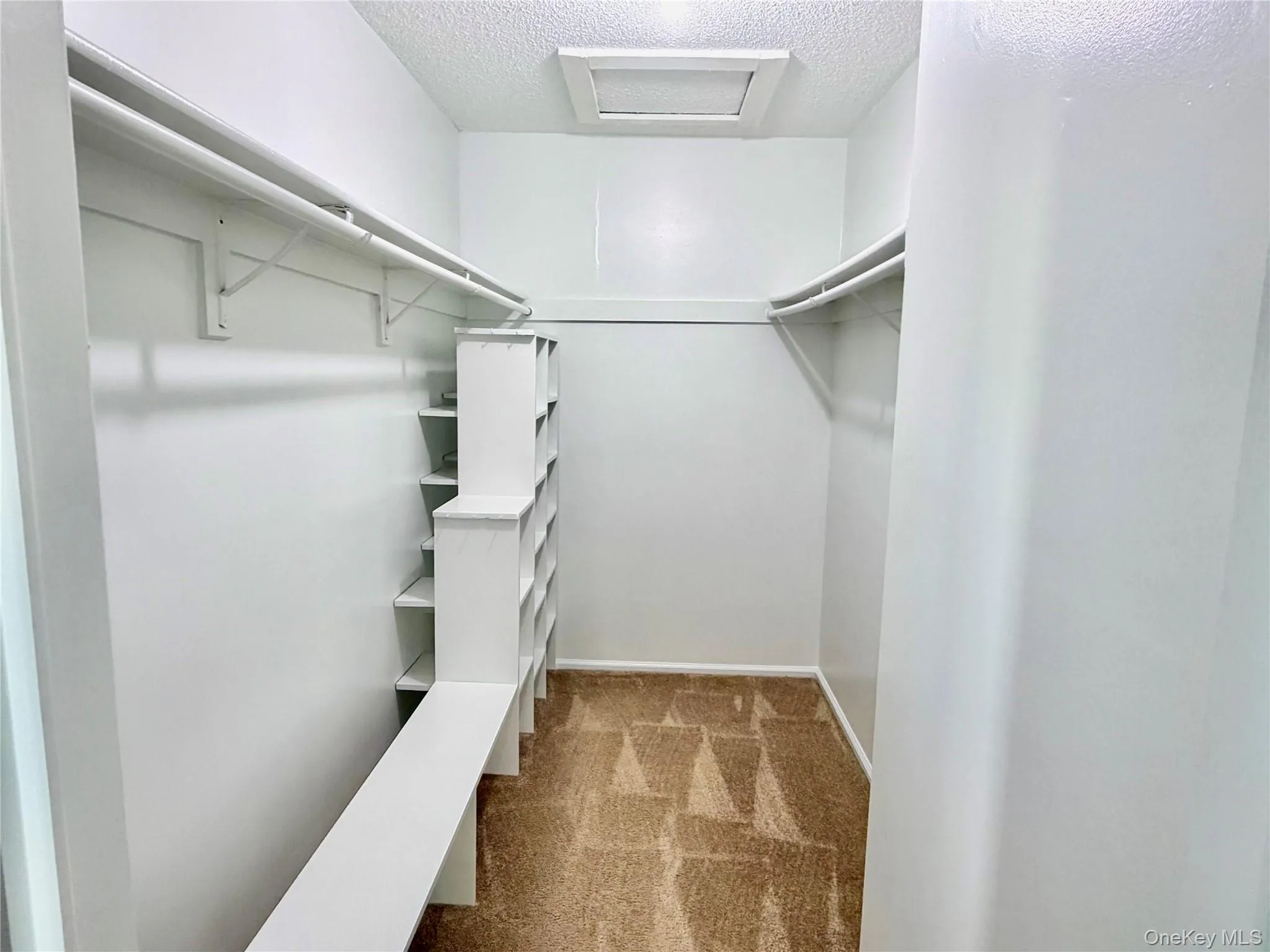 Primary bedroom walk-in-closet Primary bedroom walk-in-closet
