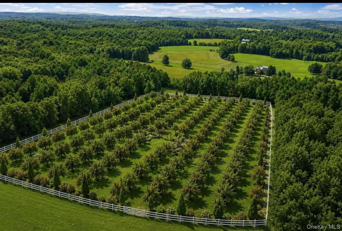 Orchard design option Orchard design option