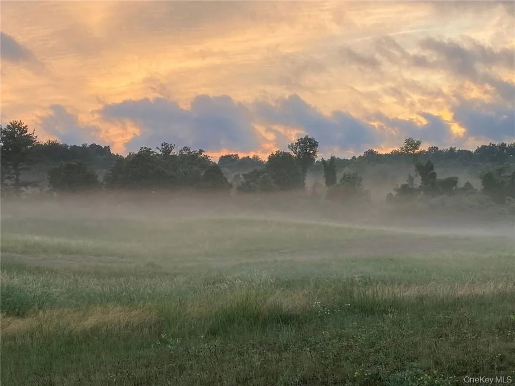 View of nature at dusk View of nature at dusk