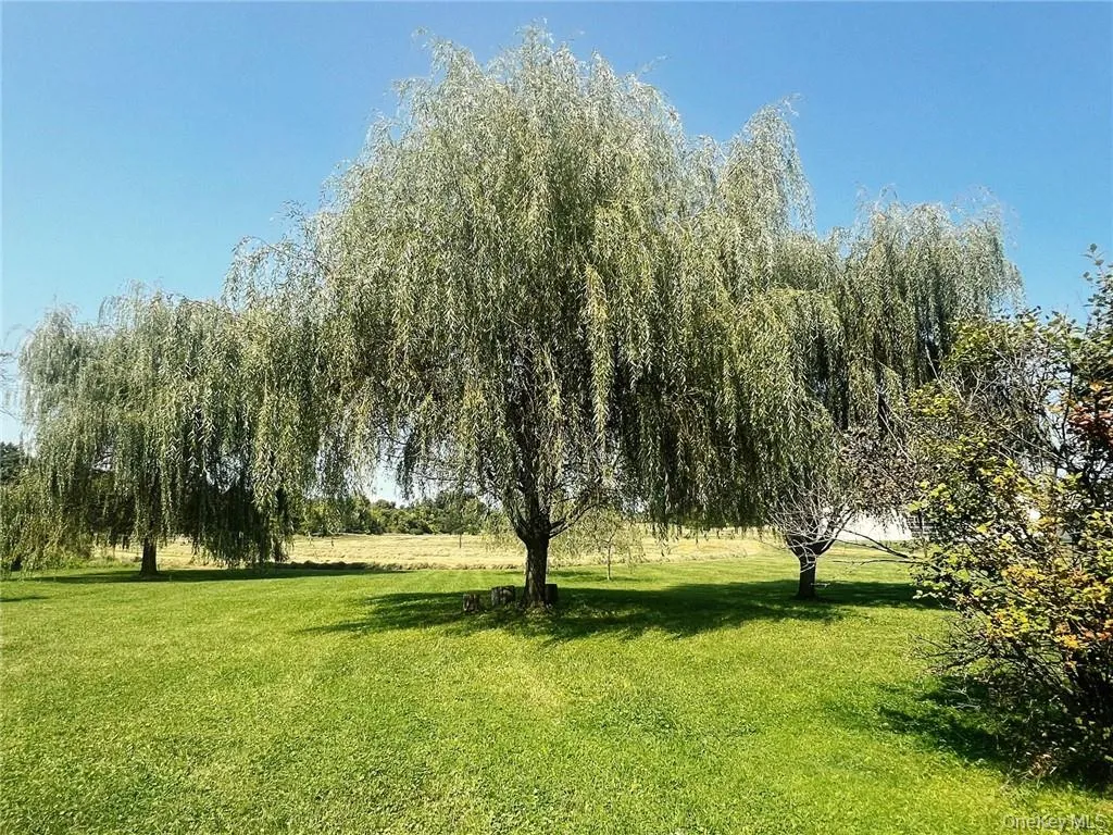 356 County Route 6, Clermont, NY, ,Commercial Lease,Idx,County Route 6,0,H6322330 356 County Route 6, Clermont, NY, ,Commercial Lease,Idx,County Route 6,0,H6322330