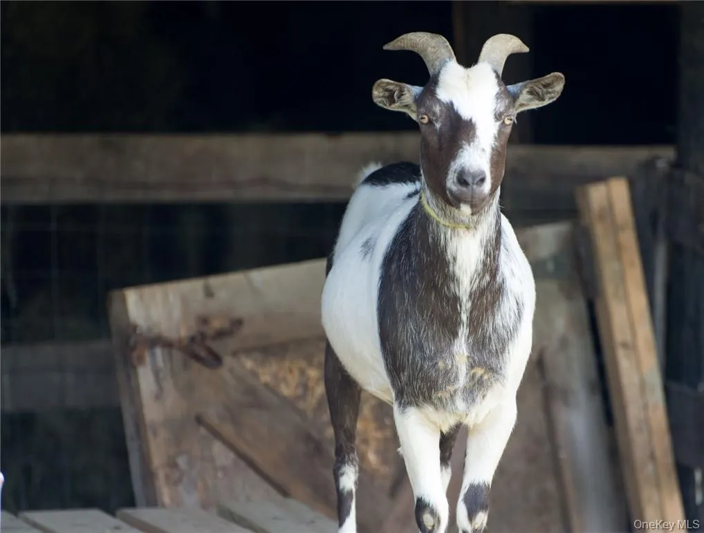 View of details View of details