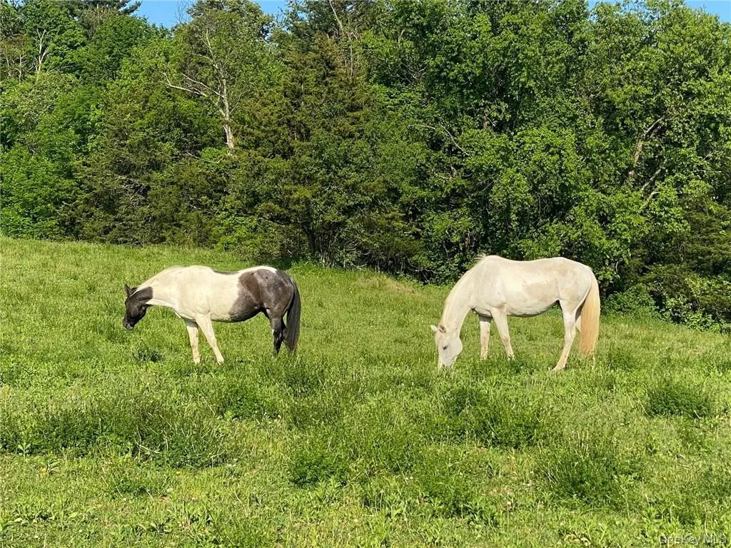 View of details View of details