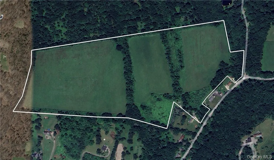 Google Earth image with outline of the parcel. Google Earth image with outline of the parcel.