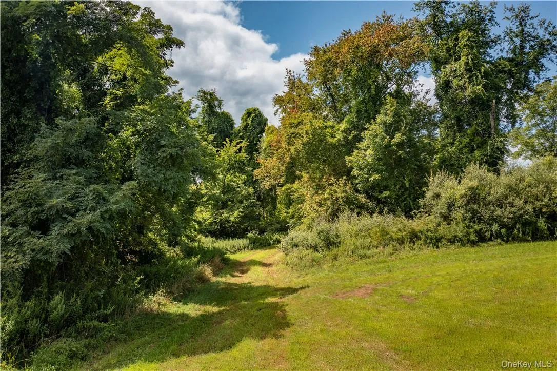Tractor path through the tree row between the east and middle fields. Tractor path through the tree row between the east and middle fields.