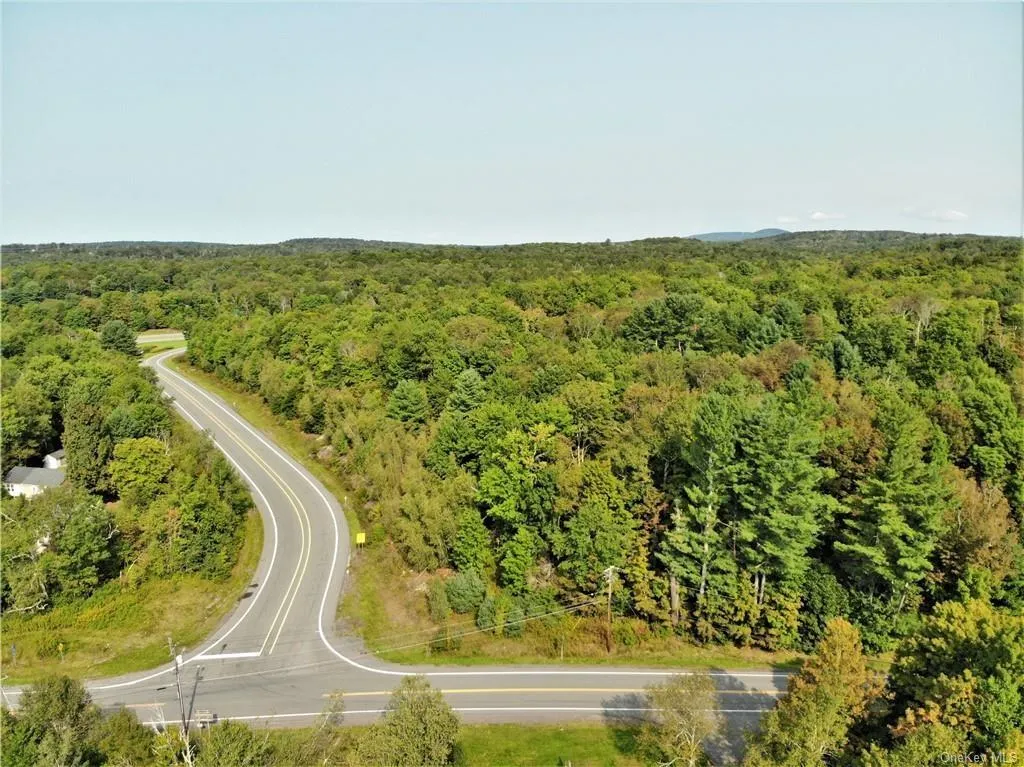NYS Rt 17 and Old Rt 17, Thompson, NY, ,Land,For Rent,NYS Rt 17 and Old Rt 17,0,H6324996 NYS Rt 17 and Old Rt 17, Thompson, NY, ,Land,For Rent,NYS Rt 17 and Old Rt 17,0,H6324996