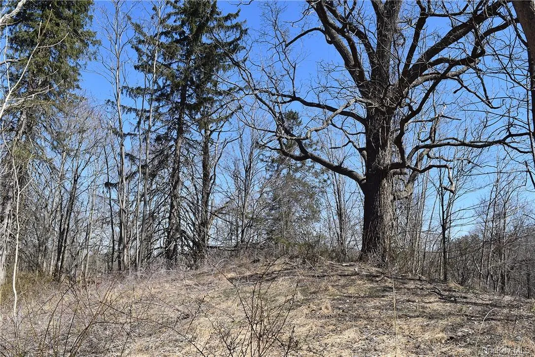 Acreage Acreage