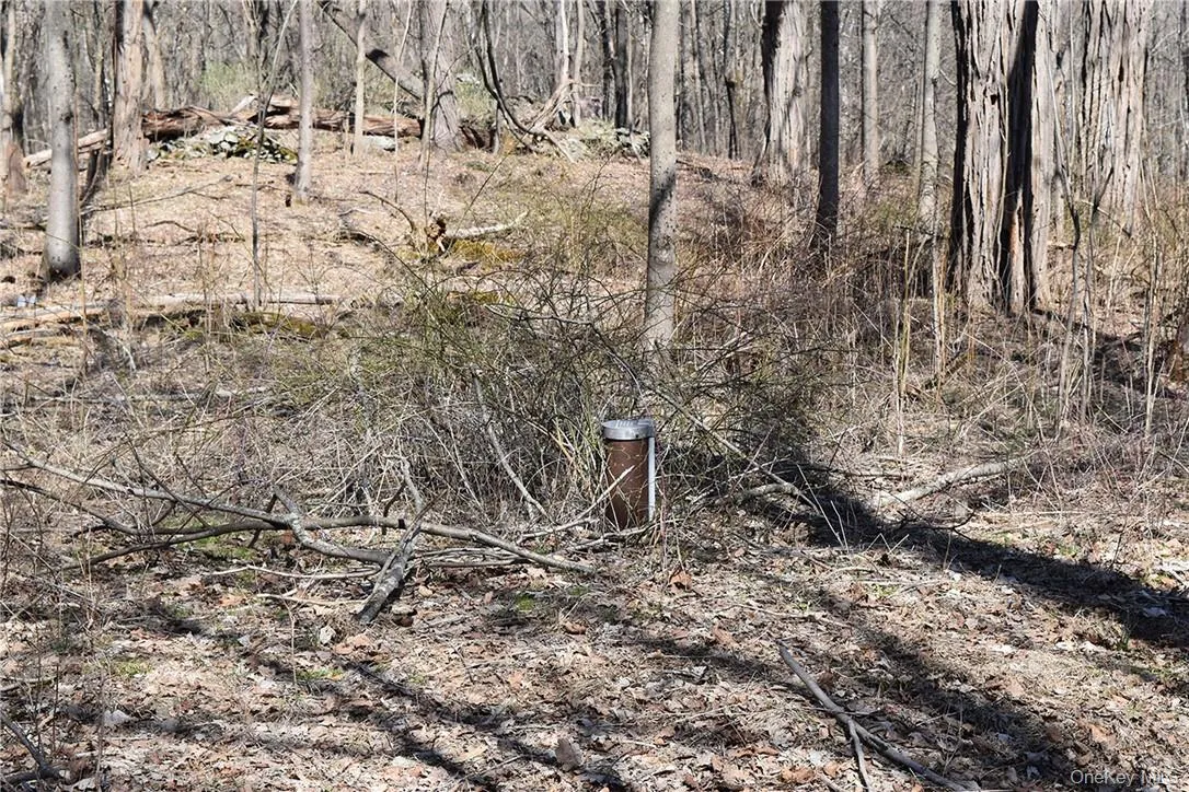 Acreage Acreage