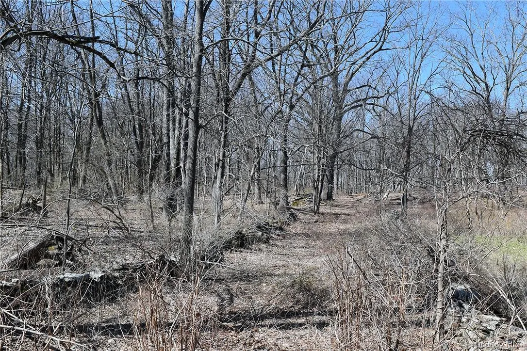 Acreage Acreage
