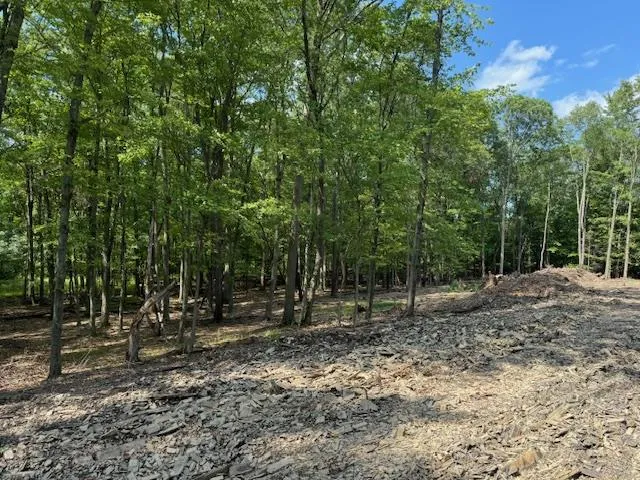 Proposed Land with mature trees and privacy. Proposed Land with mature trees and privacy.