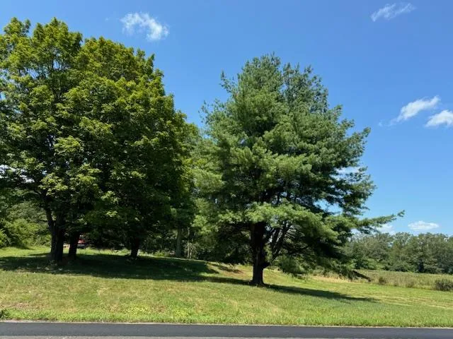 Proposed Land with mature trees and privacy. Proposed Land with mature trees and privacy.