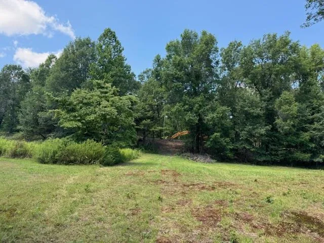 Proposed Land with mature trees and privacy. iew of yard Proposed Land with mature trees and privacy. iew of yard