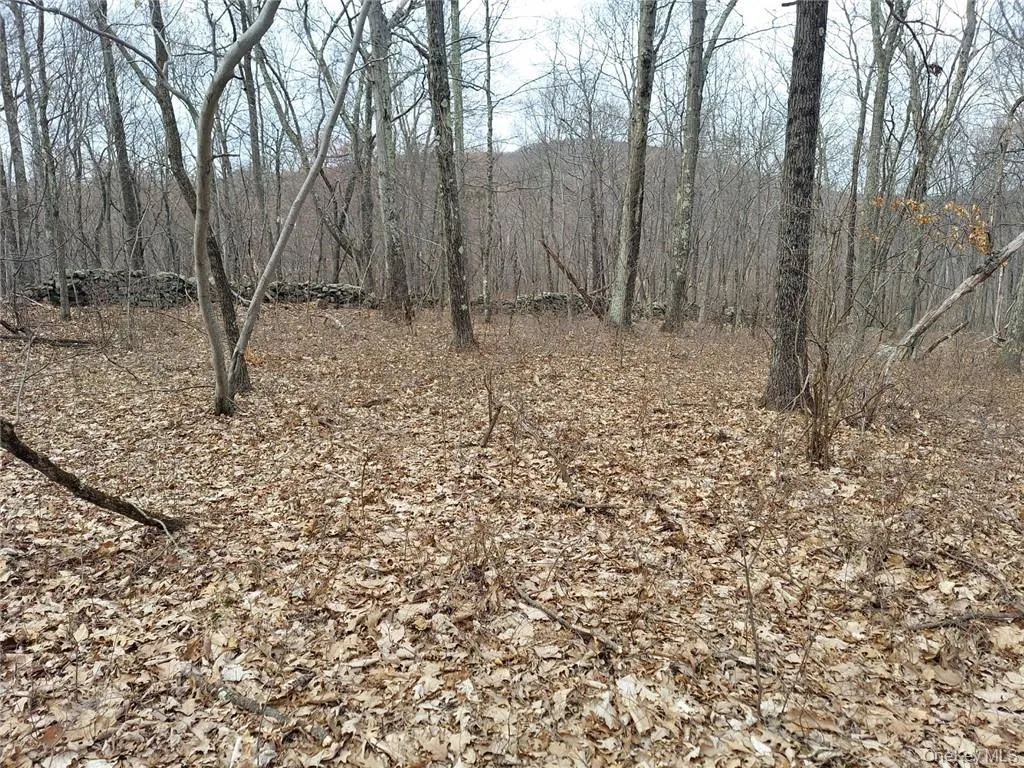 489 Grape Hollow Road, East Fishkill, NY, ,Land,For Rent,Grape Hollow,0,H6328560 489 Grape Hollow Road, East Fishkill, NY, ,Land,For Rent,Grape Hollow,0,H6328560