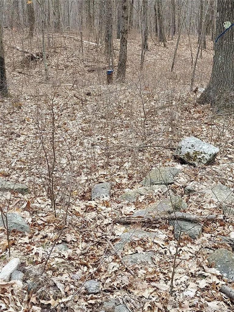 489 Grape Hollow Road, East Fishkill, NY, ,Land,For Rent,Grape Hollow,0,H6328560 489 Grape Hollow Road, East Fishkill, NY, ,Land,For Rent,Grape Hollow,0,H6328560