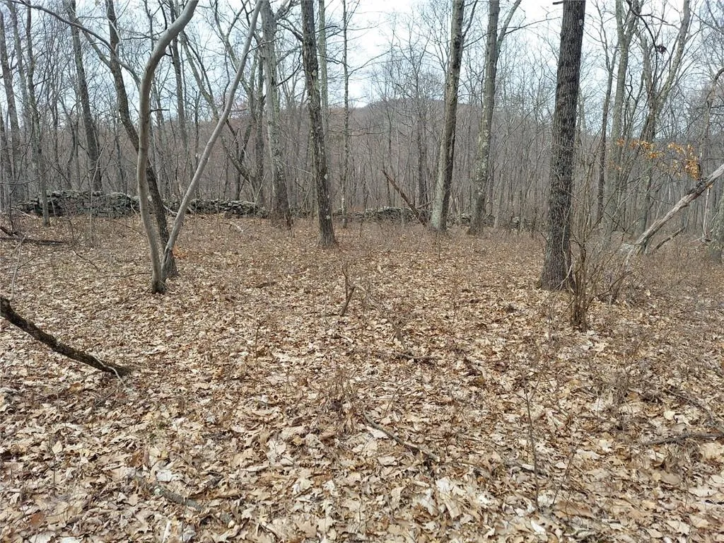 489 Grape Hollow Road, East Fishkill, NY, ,Land,For Rent,Grape Hollow,0,H6328560 489 Grape Hollow Road, East Fishkill, NY, ,Land,For Rent,Grape Hollow,0,H6328560