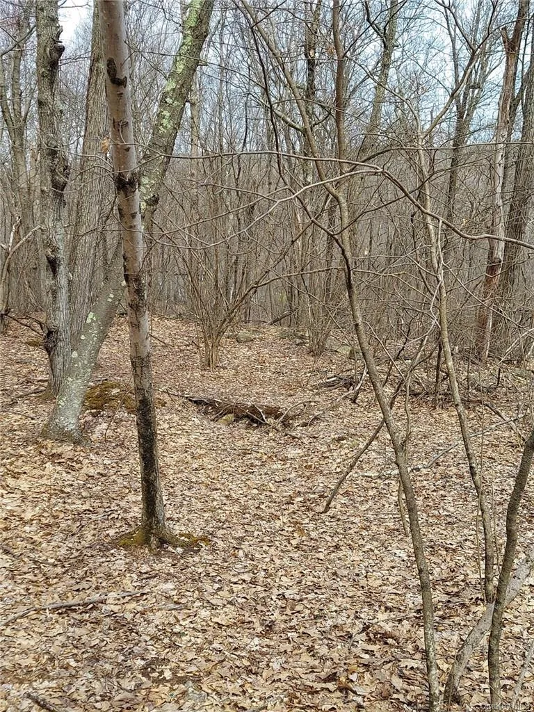 489 Grape Hollow Road, East Fishkill, NY, ,Land,For Rent,Grape Hollow,0,H6328560 489 Grape Hollow Road, East Fishkill, NY, ,Land,For Rent,Grape Hollow,0,H6328560