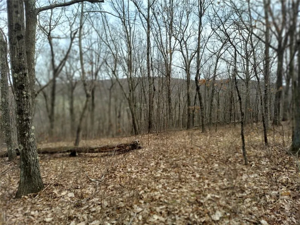 489 Grape Hollow Road, East Fishkill, NY, ,Land,For Rent,Grape Hollow,0,H6328560 489 Grape Hollow Road, East Fishkill, NY, ,Land,For Rent,Grape Hollow,0,H6328560