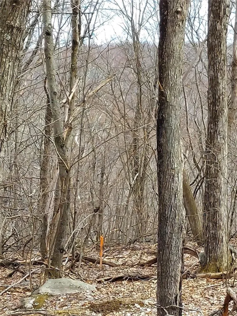 489 Grape Hollow Road, East Fishkill, NY, ,Land,For Rent,Grape Hollow,0,H6328560 489 Grape Hollow Road, East Fishkill, NY, ,Land,For Rent,Grape Hollow,0,H6328560