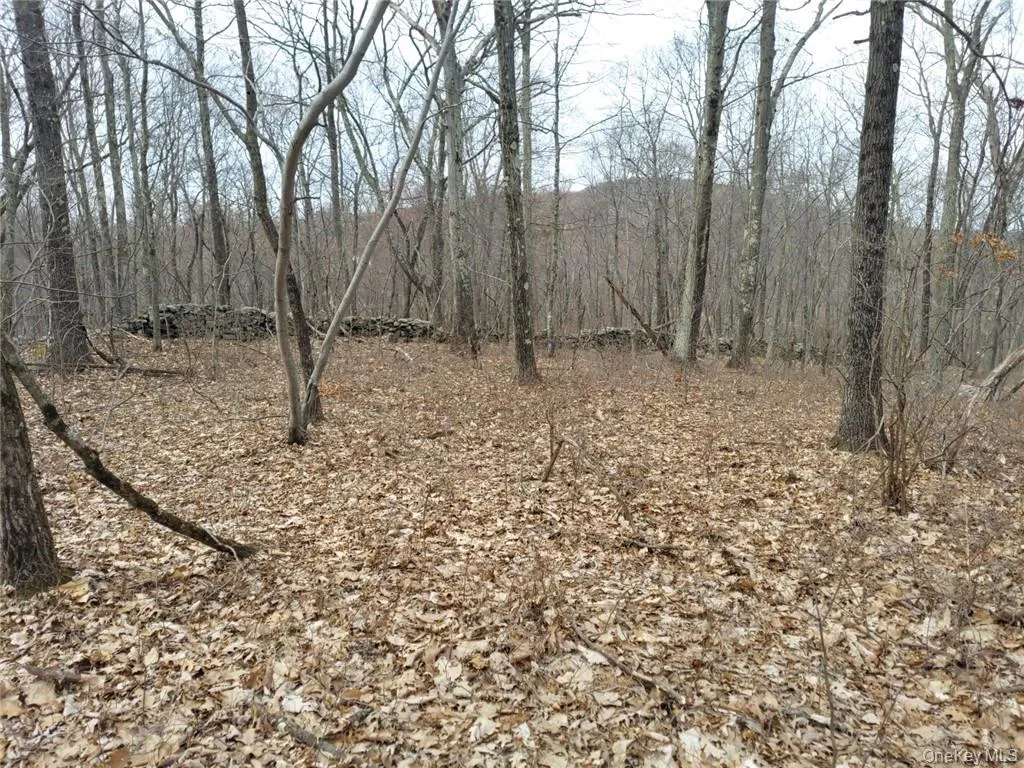489 Grape Hollow Road, East Fishkill, NY, ,Land,For Rent,Grape Hollow,0,H6328560 489 Grape Hollow Road, East Fishkill, NY, ,Land,For Rent,Grape Hollow,0,H6328560
