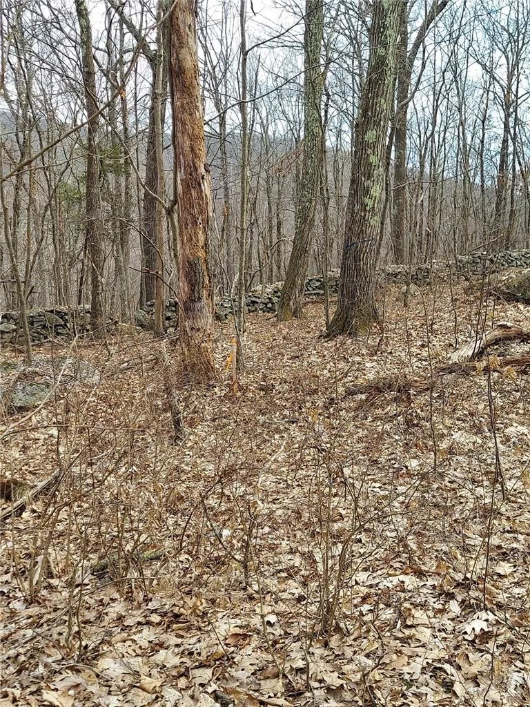 489 Grape Hollow Road, East Fishkill, NY, ,Land,For Rent,Grape Hollow,0,H6328560 489 Grape Hollow Road, East Fishkill, NY, ,Land,For Rent,Grape Hollow,0,H6328560