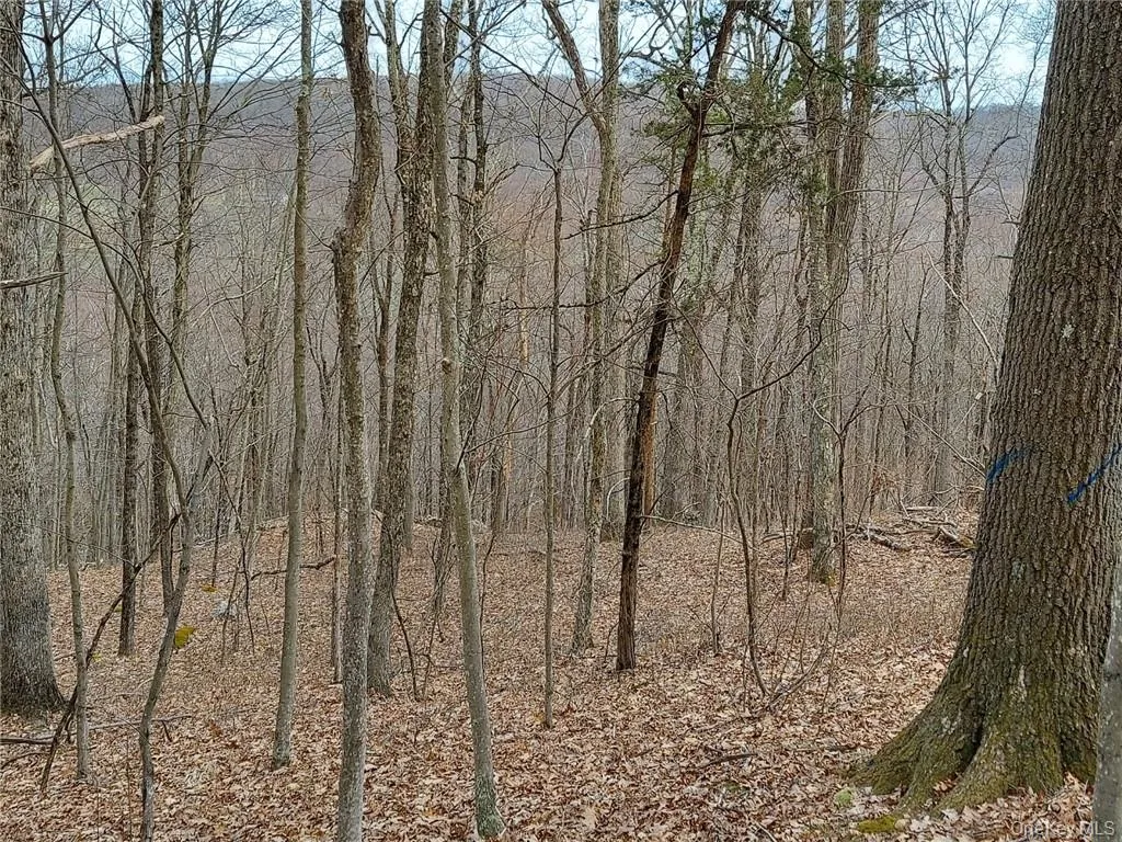489 Grape Hollow Road, East Fishkill, NY, ,Land,For Rent,Grape Hollow,0,H6328560 489 Grape Hollow Road, East Fishkill, NY, ,Land,For Rent,Grape Hollow,0,H6328560