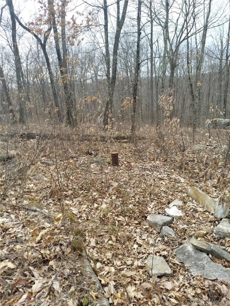 489 Grape Hollow Road, East Fishkill, NY, ,Land,For Rent,Grape Hollow,0,H6328560 489 Grape Hollow Road, East Fishkill, NY, ,Land,For Rent,Grape Hollow,0,H6328560