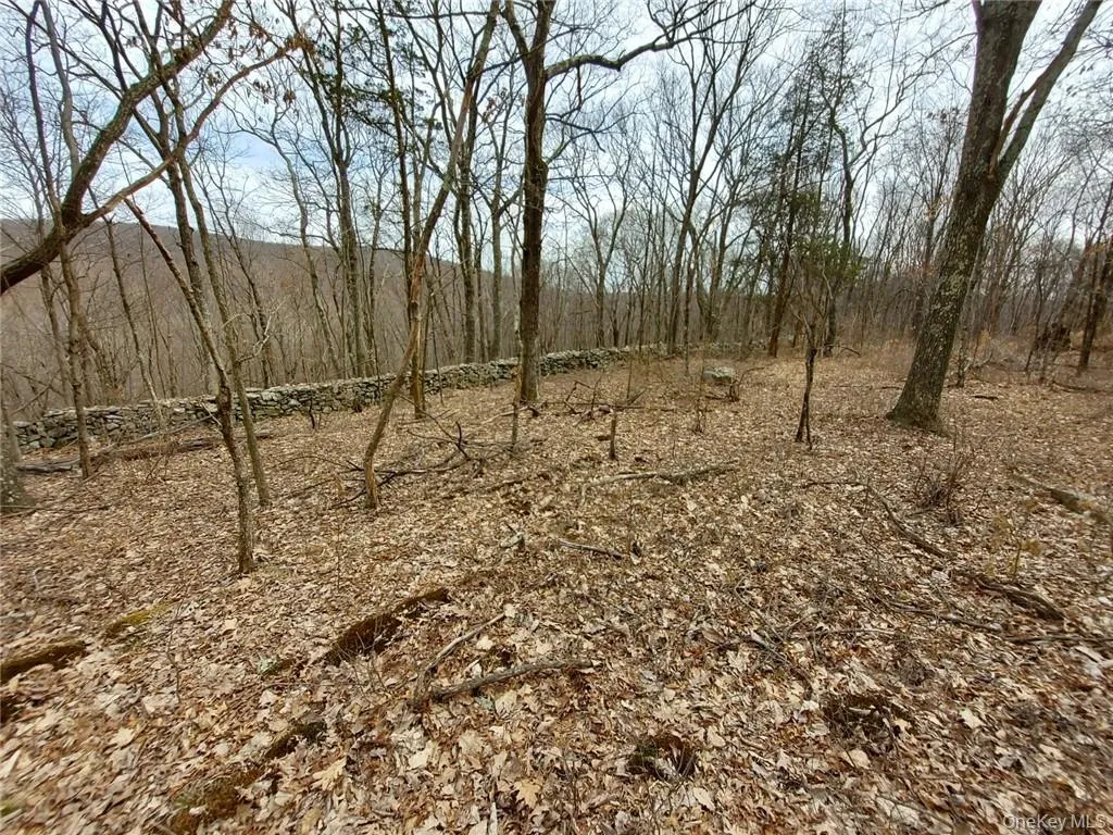489 Grape Hollow Road, East Fishkill, NY, ,Land,For Rent,Grape Hollow,0,H6328560 489 Grape Hollow Road, East Fishkill, NY, ,Land,For Rent,Grape Hollow,0,H6328560