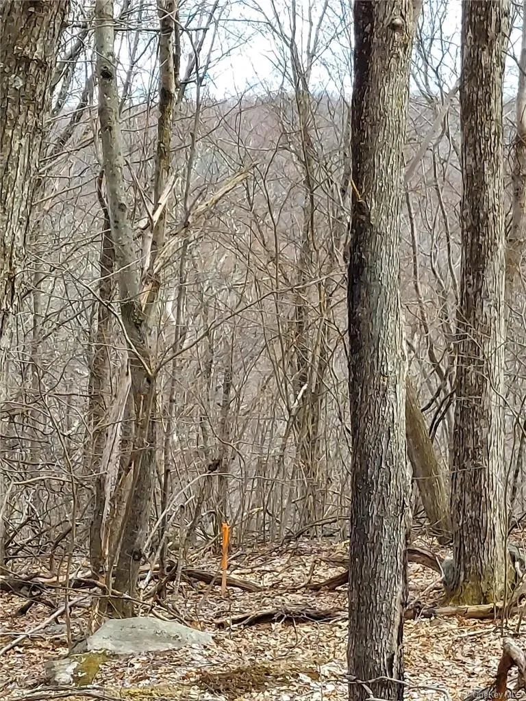 489 Grape Hollow Road, East Fishkill, NY, ,Land,For Rent,Grape Hollow,0,H6328560 489 Grape Hollow Road, East Fishkill, NY, ,Land,For Rent,Grape Hollow,0,H6328560