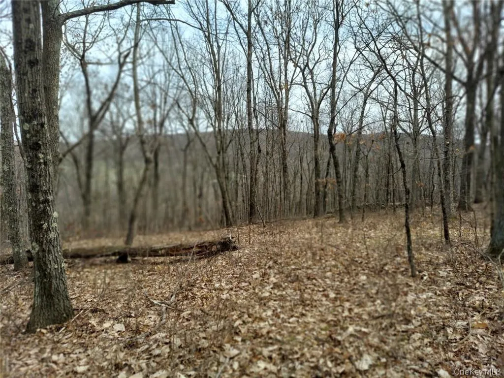 489 Grape Hollow Road, East Fishkill, NY, ,Land,For Rent,Grape Hollow,0,H6328560 489 Grape Hollow Road, East Fishkill, NY, ,Land,For Rent,Grape Hollow,0,H6328560
