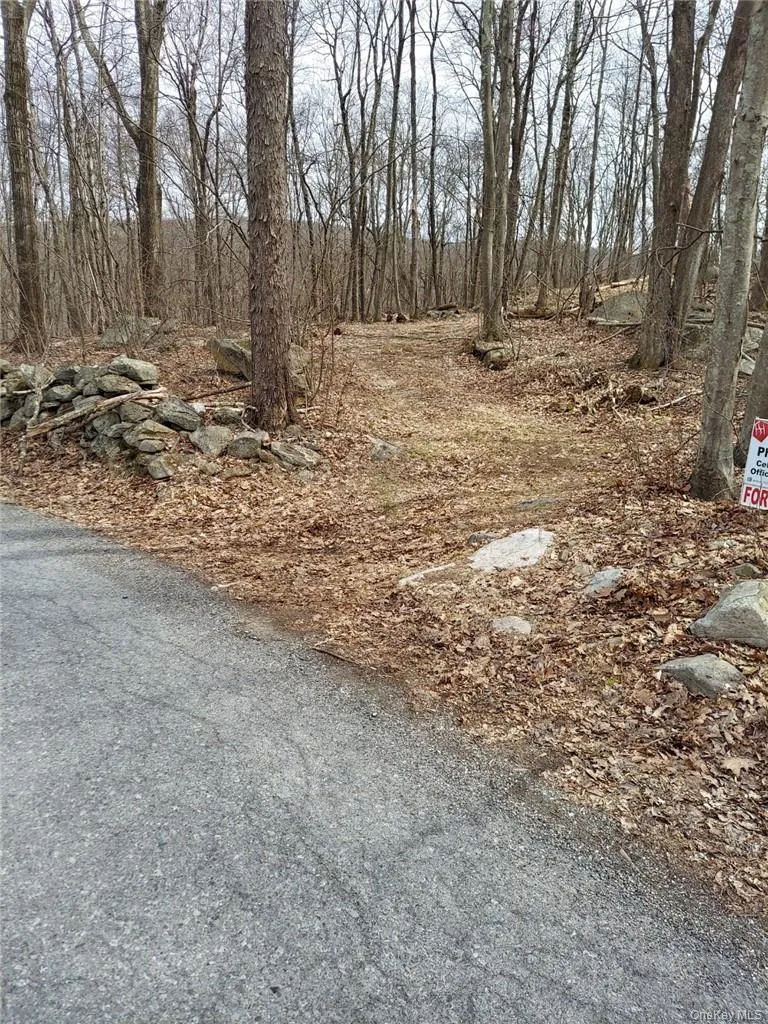 489 Grape Hollow Road, East Fishkill, NY, ,Land,For Rent,Grape Hollow,0,H6328560 489 Grape Hollow Road, East Fishkill, NY, ,Land,For Rent,Grape Hollow,0,H6328560