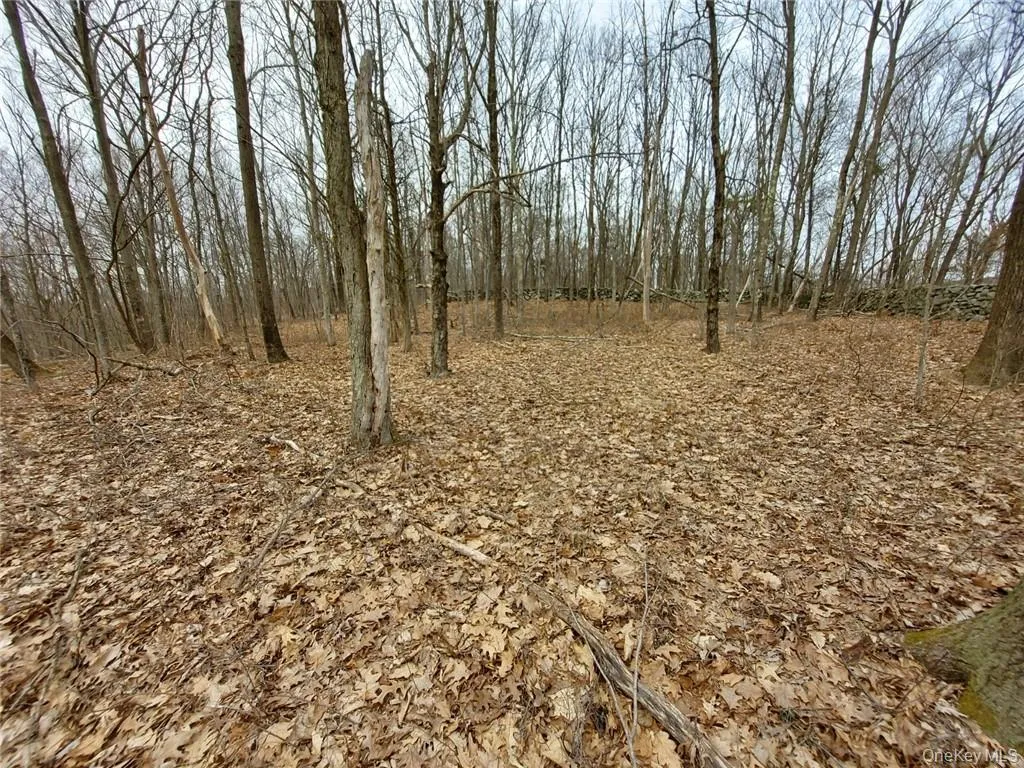 489 Grape Hollow Road, East Fishkill, NY, ,Land,For Rent,Grape Hollow,0,H6328560 489 Grape Hollow Road, East Fishkill, NY, ,Land,For Rent,Grape Hollow,0,H6328560