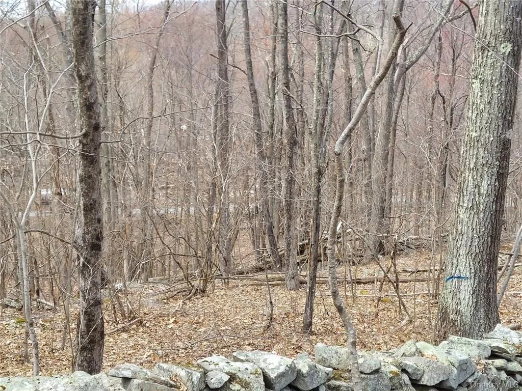 489 Grape Hollow Road, East Fishkill, NY, ,Land,For Rent,Grape Hollow,0,H6328560 489 Grape Hollow Road, East Fishkill, NY, ,Land,For Rent,Grape Hollow,0,H6328560