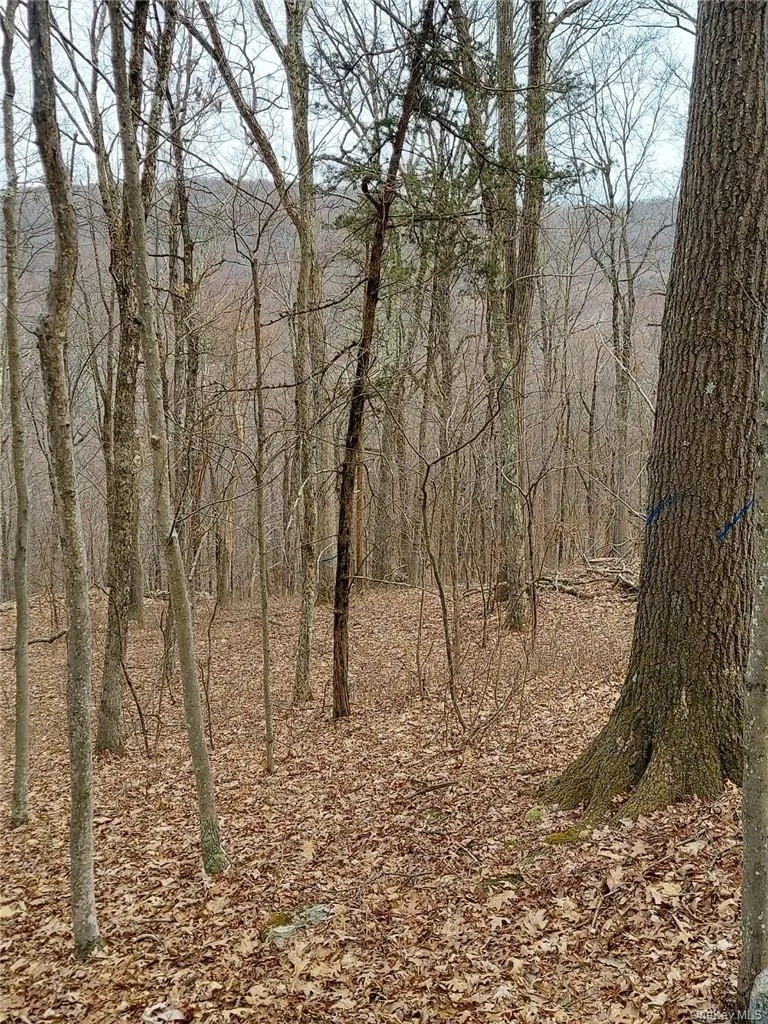 489 Grape Hollow Road, East Fishkill, NY, ,Land,For Rent,Grape Hollow,0,H6328560 489 Grape Hollow Road, East Fishkill, NY, ,Land,For Rent,Grape Hollow,0,H6328560