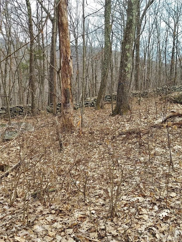 489 Grape Hollow Road, East Fishkill, NY, ,Land,For Rent,Grape Hollow,0,H6328560 489 Grape Hollow Road, East Fishkill, NY, ,Land,For Rent,Grape Hollow,0,H6328560