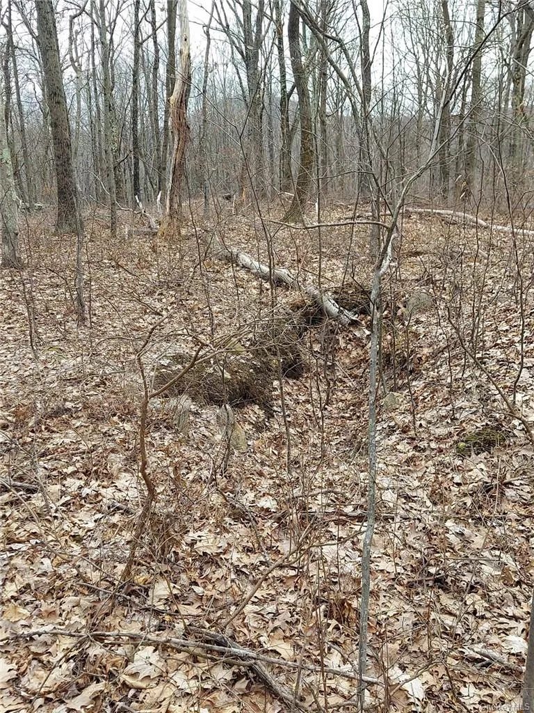 489 Grape Hollow Road, East Fishkill, NY, ,Land,For Rent,Grape Hollow,0,H6328560 489 Grape Hollow Road, East Fishkill, NY, ,Land,For Rent,Grape Hollow,0,H6328560
