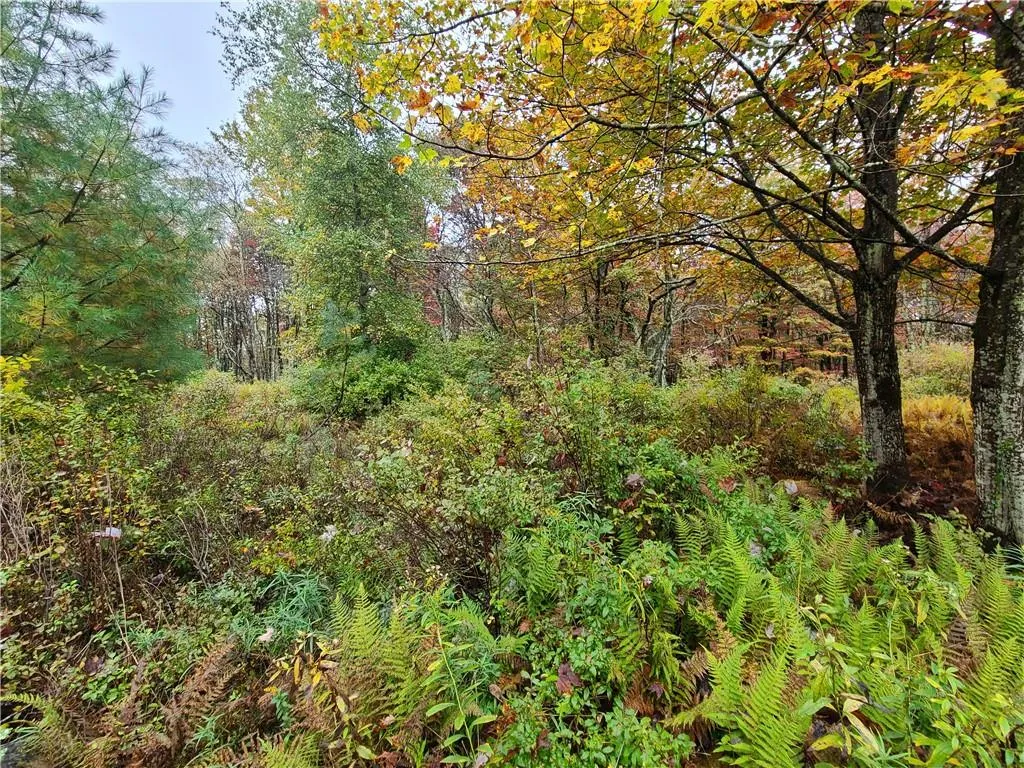 116 Voss Road, Denning, NY, ,Land,For Rent,Voss,0,H6330587 116 Voss Road, Denning, NY, ,Land,For Rent,Voss,0,H6330587