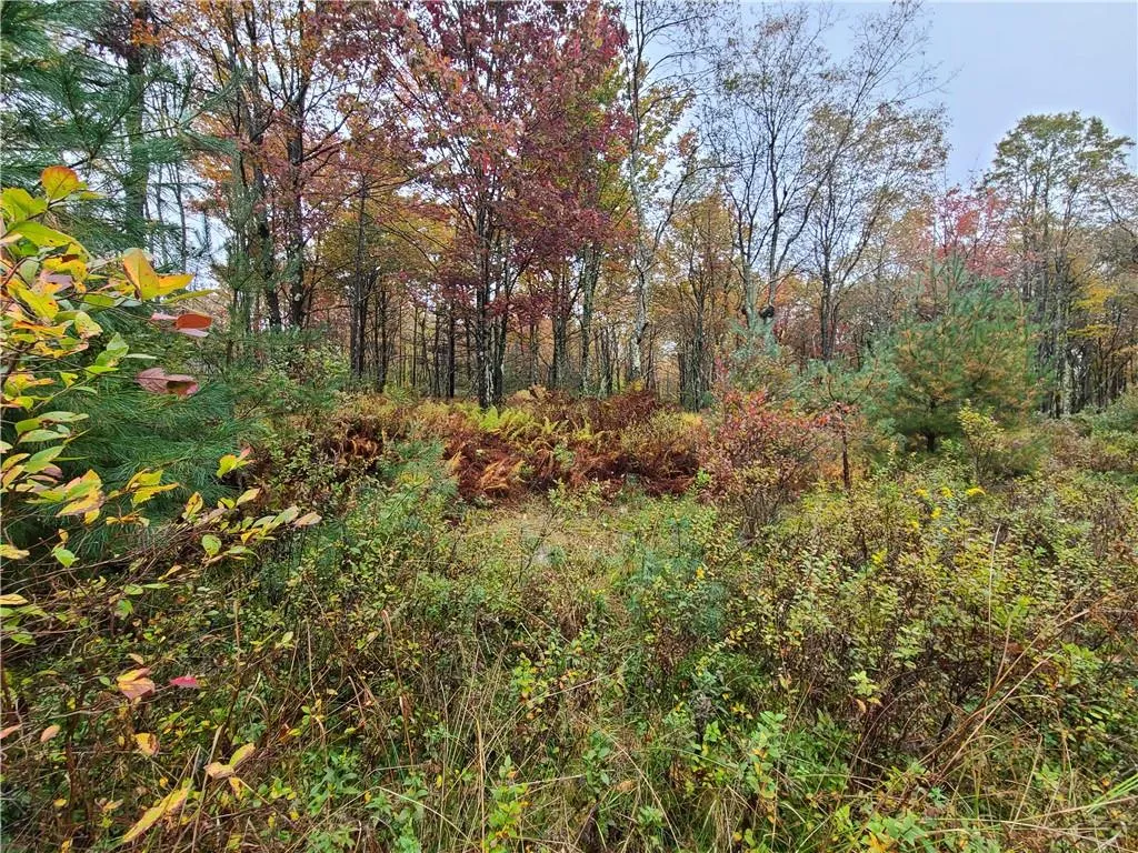 116 Voss Road, Denning, NY, ,Land,For Rent,Voss,0,H6330587 116 Voss Road, Denning, NY, ,Land,For Rent,Voss,0,H6330587