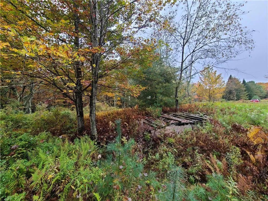 116 Voss Road, Denning, NY, ,Land,For Rent,Voss,0,H6330587 116 Voss Road, Denning, NY, ,Land,For Rent,Voss,0,H6330587