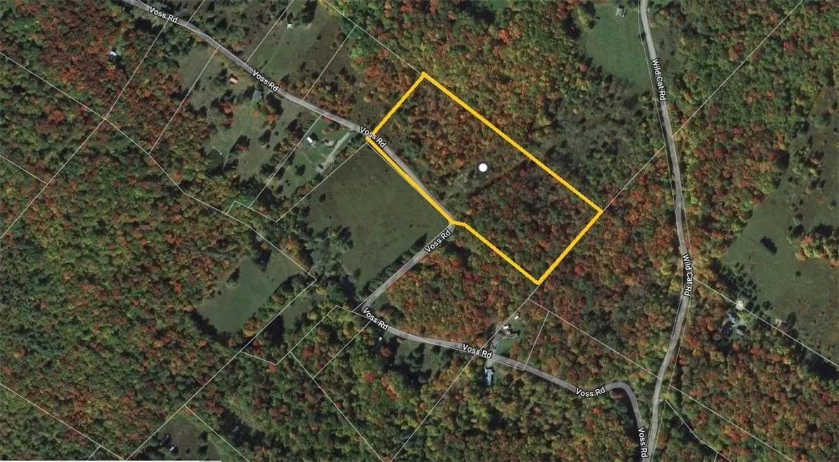 116 Voss Road, Denning, NY, ,Land,For Rent,Voss,0,H6330587 116 Voss Road, Denning, NY, ,Land,For Rent,Voss,0,H6330587