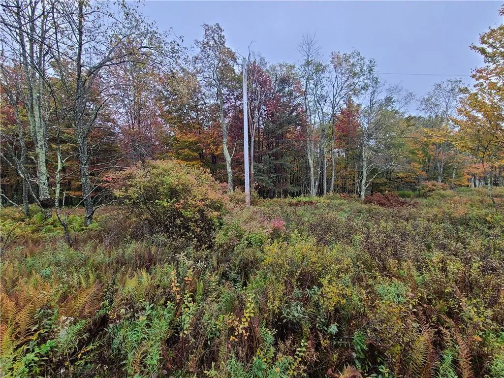 116 Voss Road, Denning, NY, ,Land,For Rent,Voss,0,H6330587 116 Voss Road, Denning, NY, ,Land,For Rent,Voss,0,H6330587