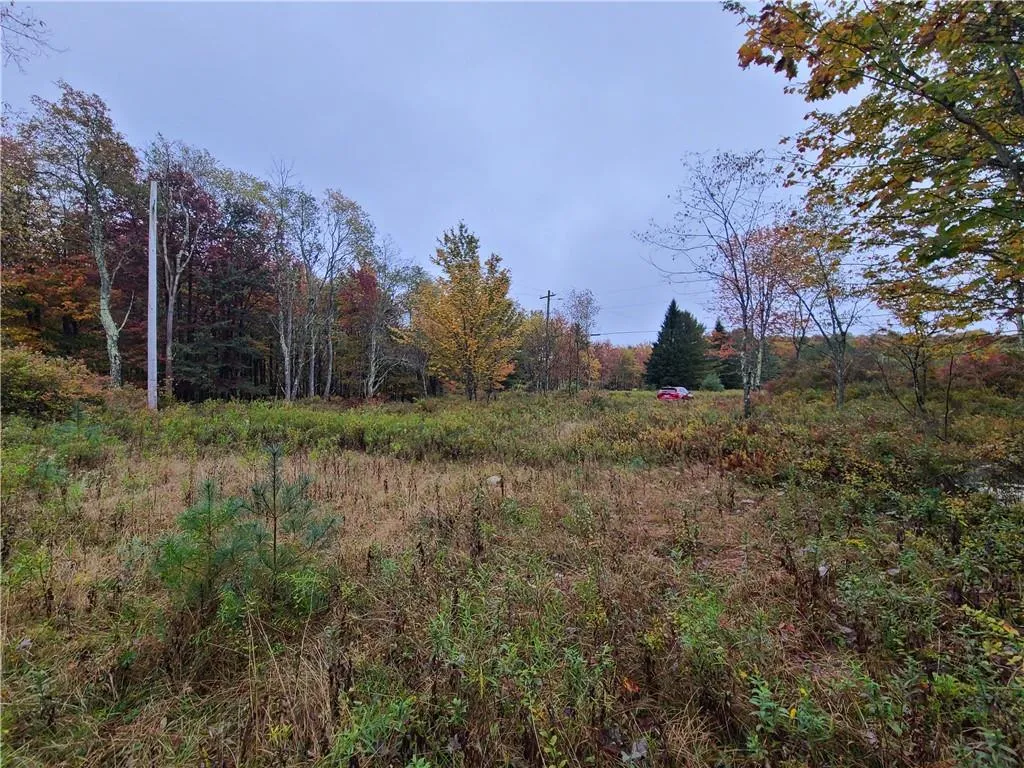 116 Voss Road, Denning, NY, ,Land,For Rent,Voss,0,H6330587 116 Voss Road, Denning, NY, ,Land,For Rent,Voss,0,H6330587