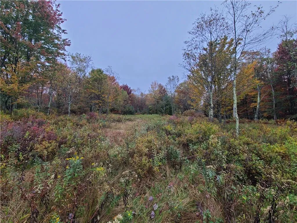 116 Voss Road, Denning, NY, ,Land,For Rent,Voss,0,H6330587 116 Voss Road, Denning, NY, ,Land,For Rent,Voss,0,H6330587