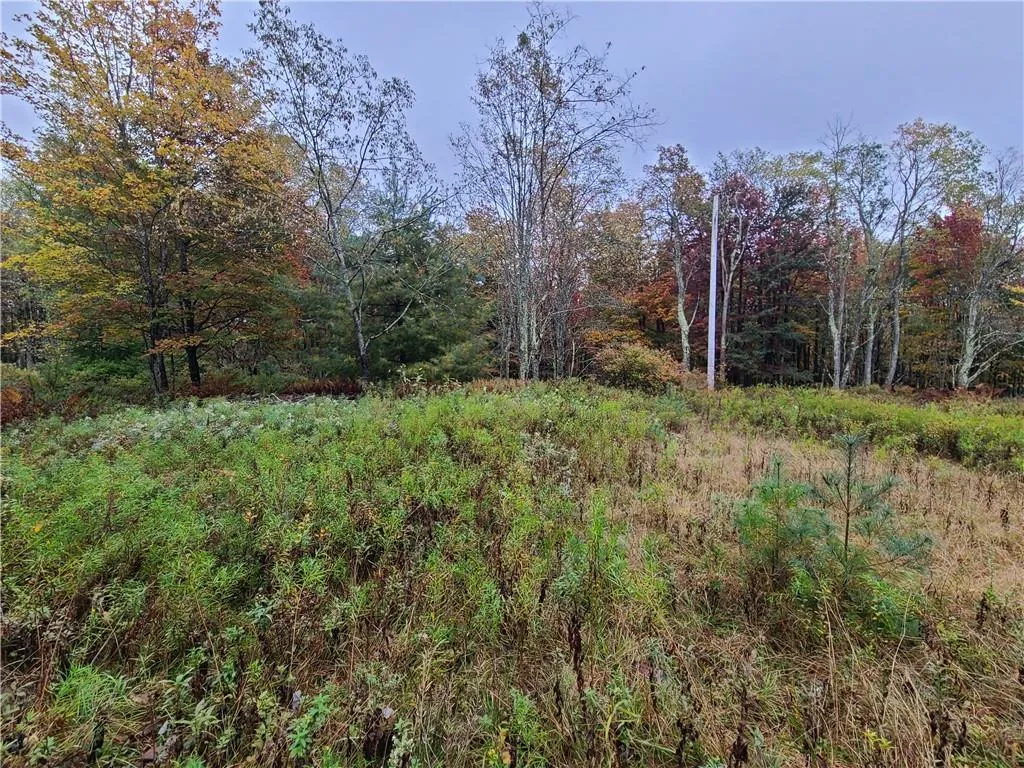 116 Voss Road, Denning, NY, ,Land,For Rent,Voss,0,H6330587 116 Voss Road, Denning, NY, ,Land,For Rent,Voss,0,H6330587