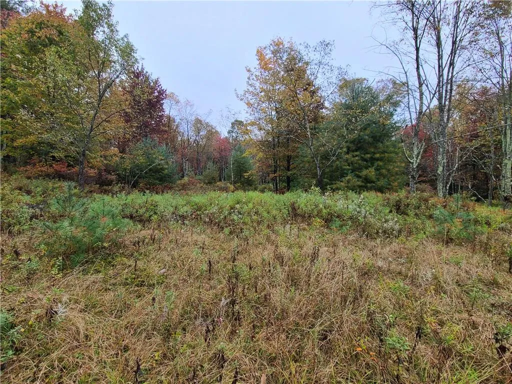 116 Voss Road, Denning, NY, ,Land,For Rent,Voss,0,H6330587 116 Voss Road, Denning, NY, ,Land,For Rent,Voss,0,H6330587