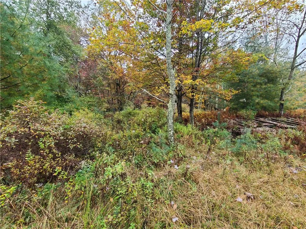 116 Voss Road, Denning, NY, ,Land,For Rent,Voss,0,H6330587 116 Voss Road, Denning, NY, ,Land,For Rent,Voss,0,H6330587