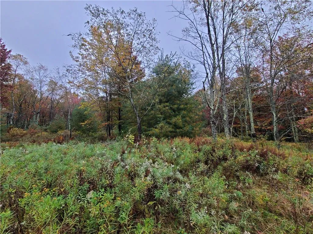 116 Voss Road, Denning, NY, ,Land,For Rent,Voss,0,H6330587 116 Voss Road, Denning, NY, ,Land,For Rent,Voss,0,H6330587